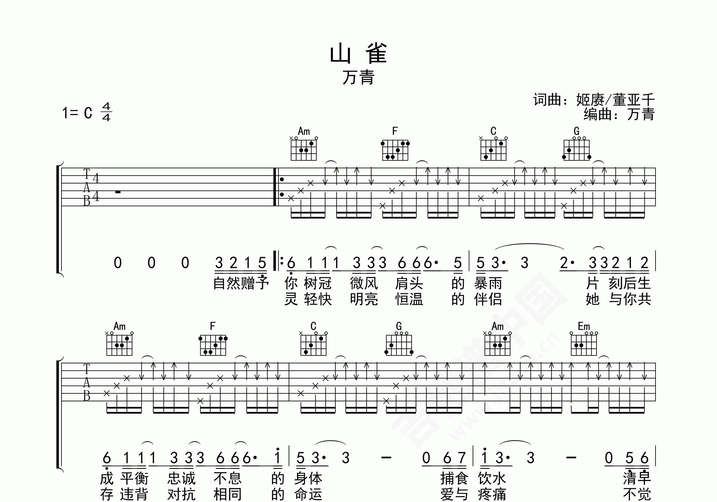 山雀吉他谱万能青年旅馆c调民谣弹唱谱